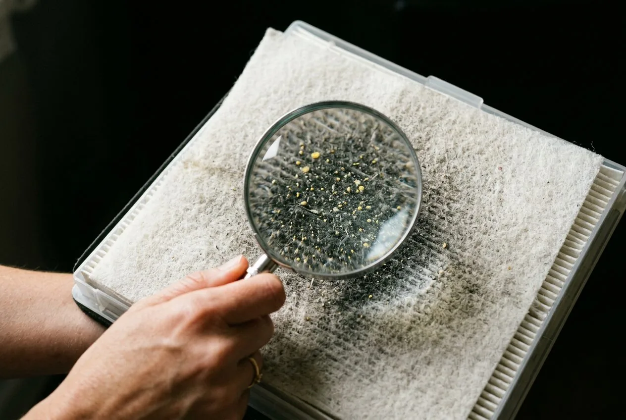 Close-up detail of a HEPA filter capturing microscopic pollen and allergen particles.